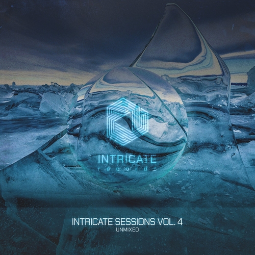 VA - Intricate Sessions, Vol. 4, Unmixed [INTRICATE446]